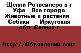 Щенки Ротвейлера в г.Уфа - Все города Животные и растения » Собаки   . Иркутская обл.,Саянск г.